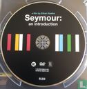 Seymour: an introduction - Afbeelding 3