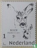 Zilveren postzegel: Rien Poortvliet - Afbeelding 1