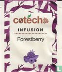 Forestberry - Image 1