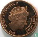 Gough 1 penny 2009 - Afbeelding 1