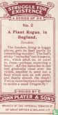 A Plant Rogue, in Bogland, - Bild 2
