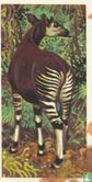 Okapi - Bild 1