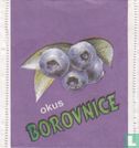 Borovnice  - Image 1
