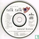 Natural History - The Very Best of Talk Talk - Image 3