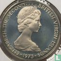 British Virgin Islands 10 cents 1973 (PROOF) - Image 1