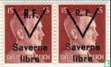 Saverne Libre - Liberation (Alsace) Hitler - Image 3