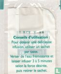 Tilleul Menthe - Image 2