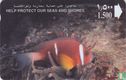 Dhofar Clownfish - Bild 1