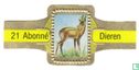 [Roe deer] - Image 1