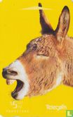 Donkey, Enjoy a Good Chin Wag - Afbeelding 1