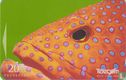 Jewel Grouper, Listen up - Bild 1