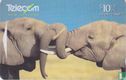 Afican Elephants - Afbeelding 1