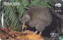 Little Spotted Kiwi - Afbeelding 1