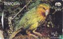 Kakapo - Afbeelding 1