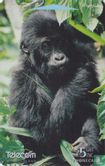 Baby Gorilla - Bild 1