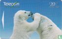 Polar Bears - Bild 1