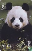 Giant Panda (Ailuropoda Melanolauca) - Afbeelding 1