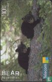 Black Bear (Ursus Americanus) - Image 1