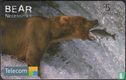 Alaskan Brown Bear (Ursus Arctos) - Afbeelding 1