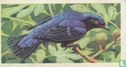 Fairy Blue Bird - Afbeelding 1