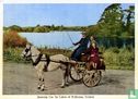 Jaunting Car by Lakes of Killarney - Image 1