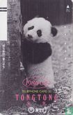 Tong Tong The Panda - Born 1986/6/1 - Image 1