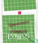 Spearmint  - Image 2