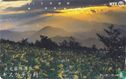 Day Lilies - Nikko Kirifuri Highlands - Afbeelding 1