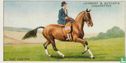 The canter - Bild 1