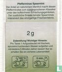 Pfefferminze Spearmint - Image 2