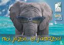 Zoo Granby / Amazoo "moi, je Zoo... et j'amaZoo!"  - Bild 1