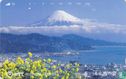 Mount Fuji From Shimizu Bay - Spring - Image 1