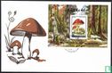 Edible mushrooms - Image 1