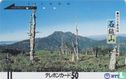 Die Out Forest - Mount Ishizuchi - Image 1
