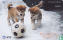 Odate - Akita Dogs With Football - Afbeelding 1