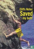 Cliffs Notes "Saved my butt!" - Bild 1