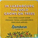 In Luxembourg the gold grows on trees - Image 1