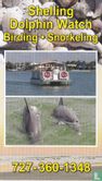 Shelling Dolphin Watch - Bild 1