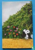 Snoopy briefpapier  - Afbeelding 1