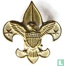 Boy Scouts of America - Image 1