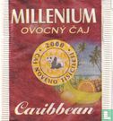Caribbean - Image 1