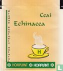 Ceai Echinacea - Afbeelding 1