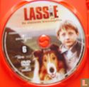 Lassie - Afbeelding 3