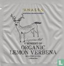 Organic Lemon Verbena - Image 1