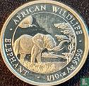 Somalie 10 shillings 2019 "Elephant" - Image 2