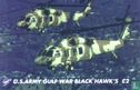 U.S. Army Gulf War Black Hawk's - Image 1