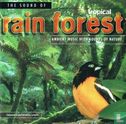 The Sound of Tropical Rain Forest - Image 1