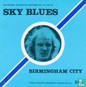 Coventry City v. Birmingham City - Image 1
