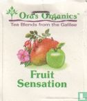 Fruit Sensation - Image 3