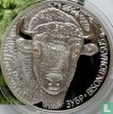 Belarus 20 rubles 2012 (PROOF) "European bison" - Image 2